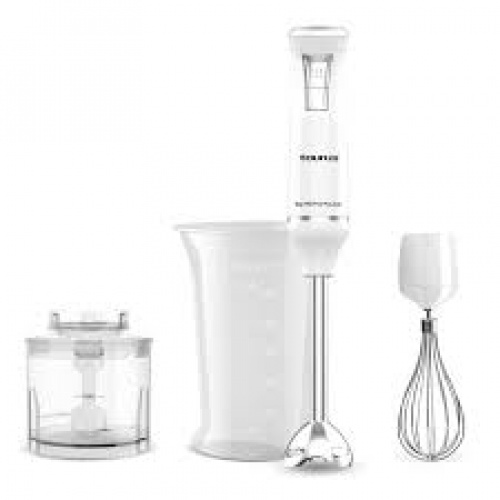 Mixeur plongeant 750 W – Bapi 750 Pure Plus Inox